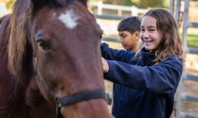 Screenshot 2025-12-02 113135